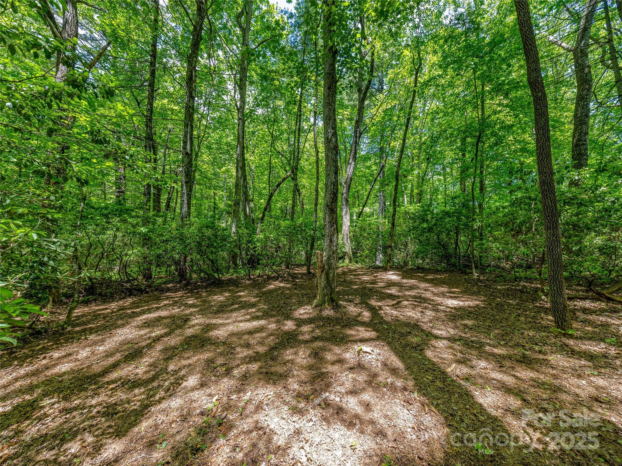 Lake Toxaway Estates - Land