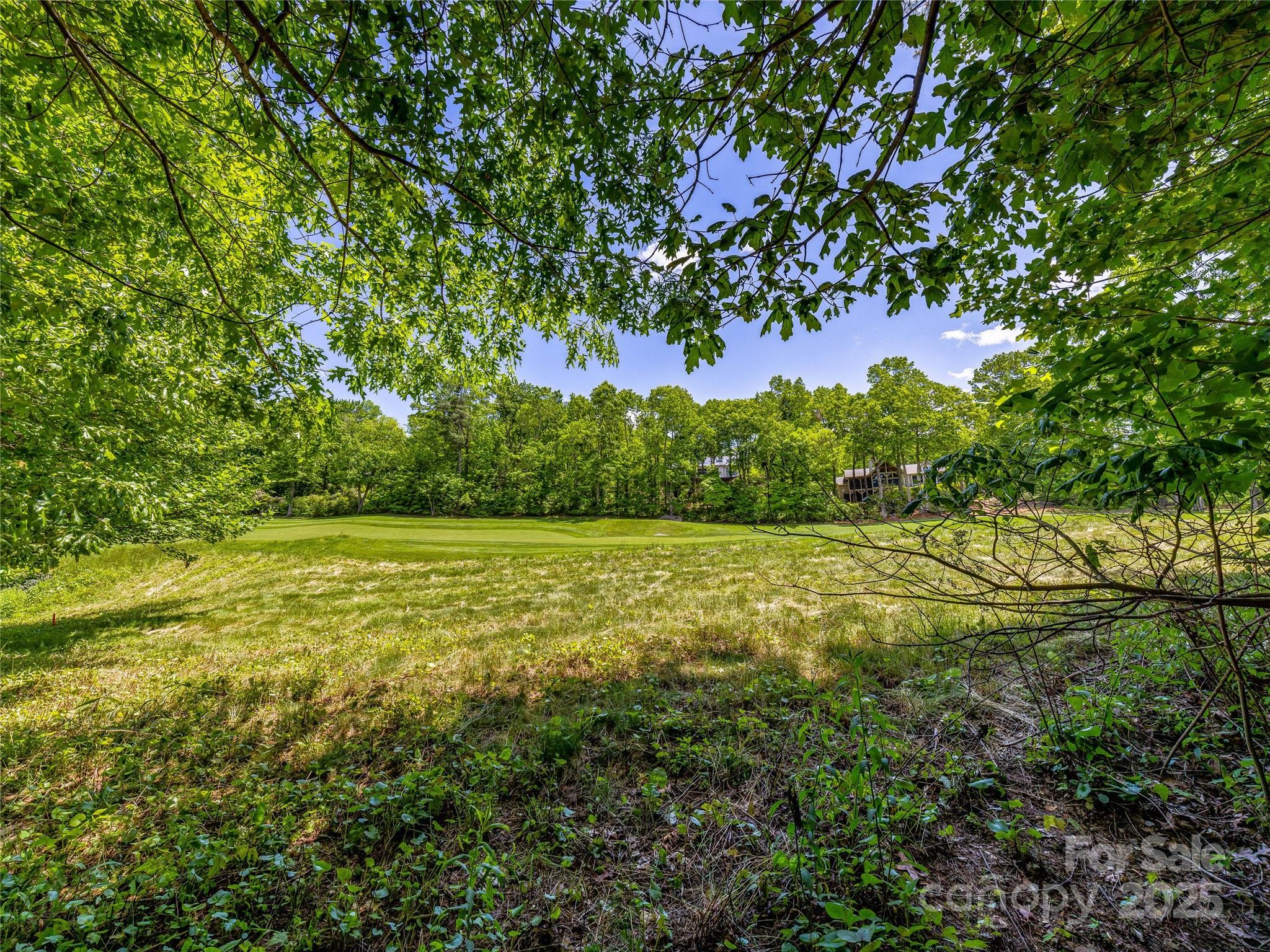 Lake Toxaway Estates - Land