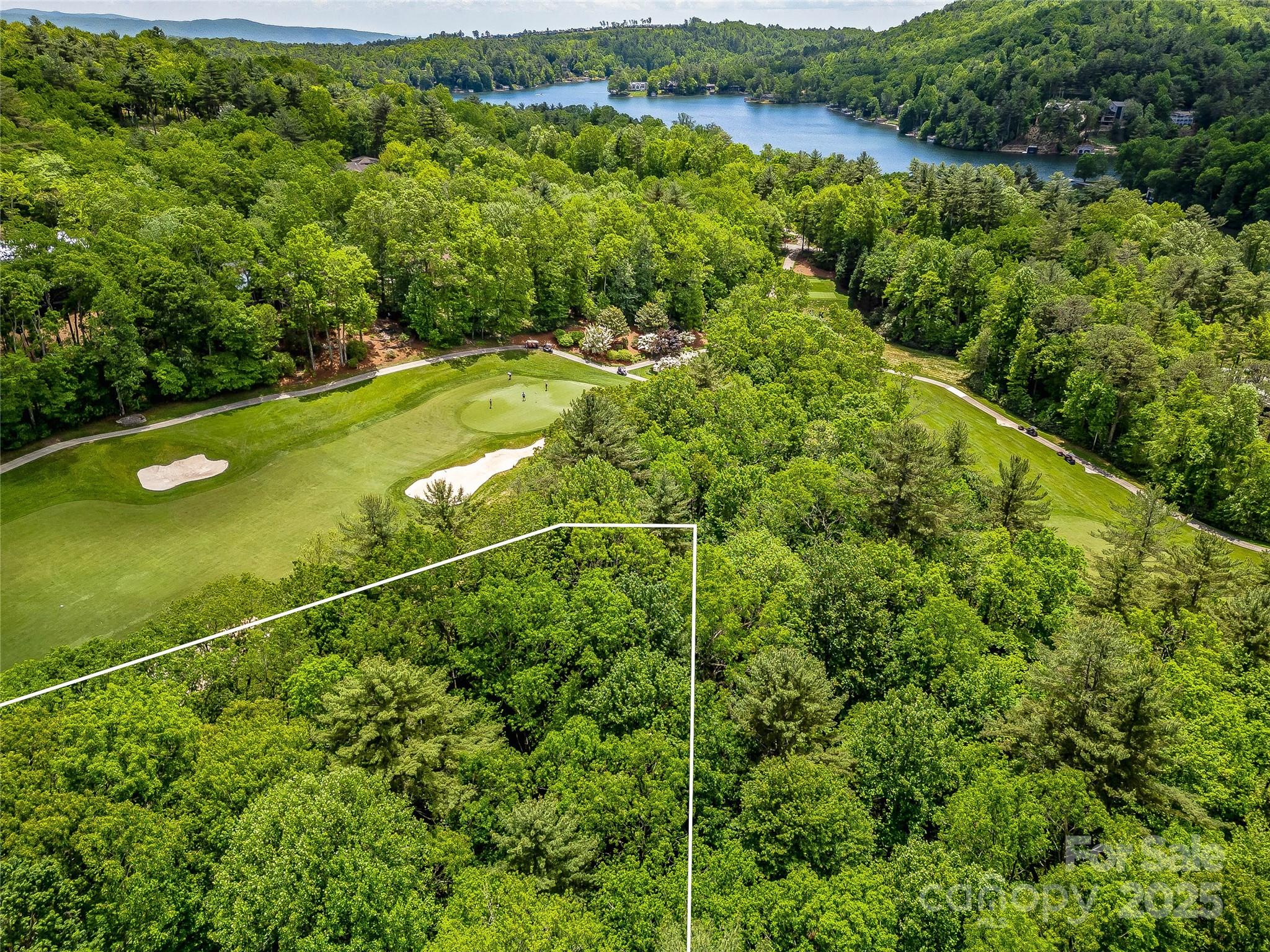 Lake Toxaway Estates - Land