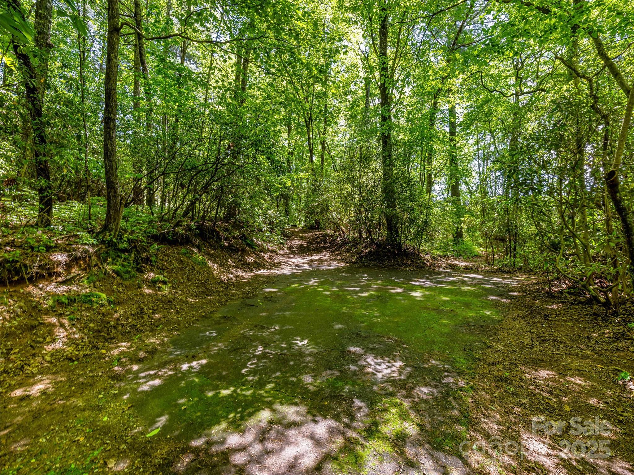 Lake Toxaway Estates - Land