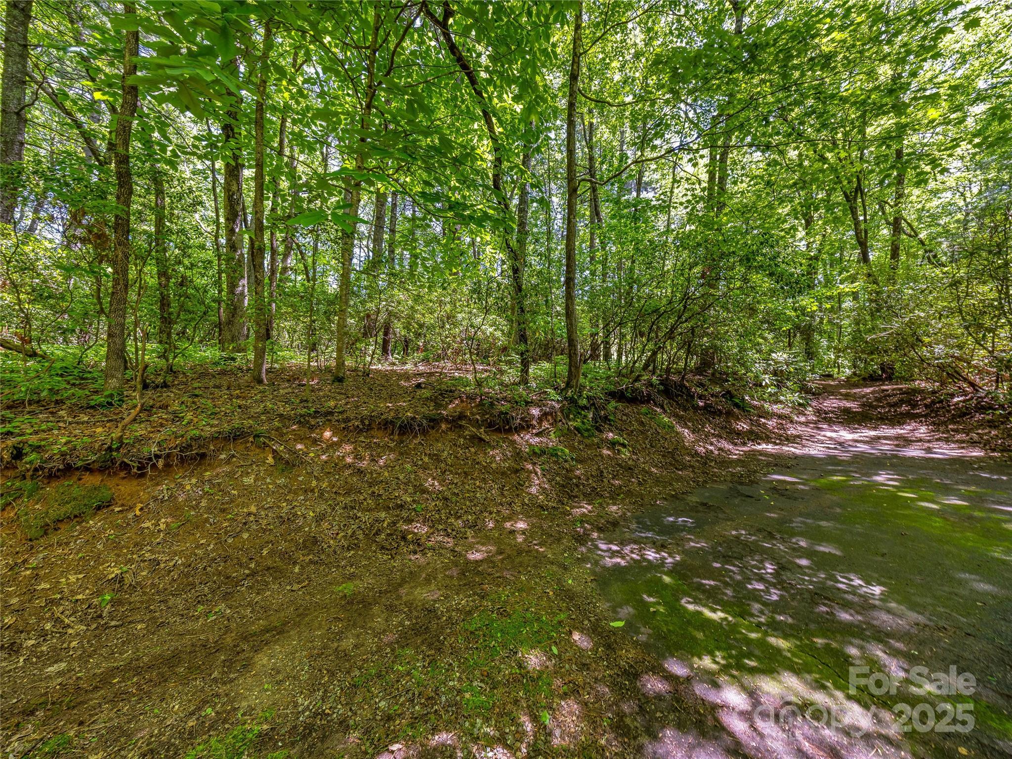 Lake Toxaway Estates - Land