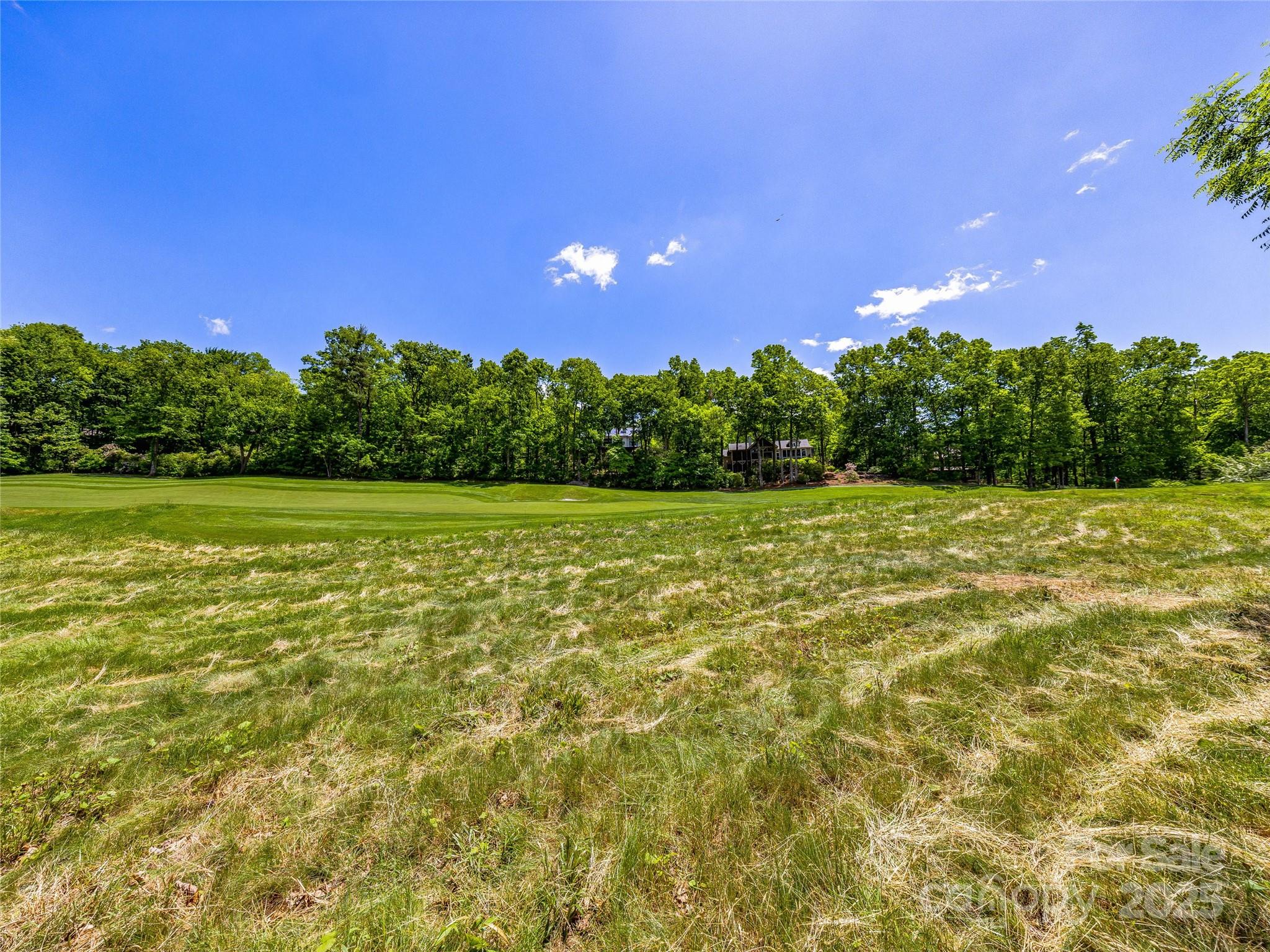 Lake Toxaway Estates - Land