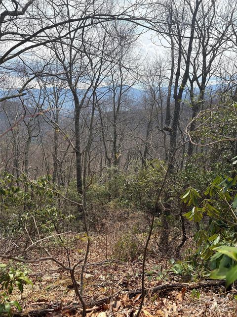 TBD Running Deer Trail 287 Waynesville NC 28786