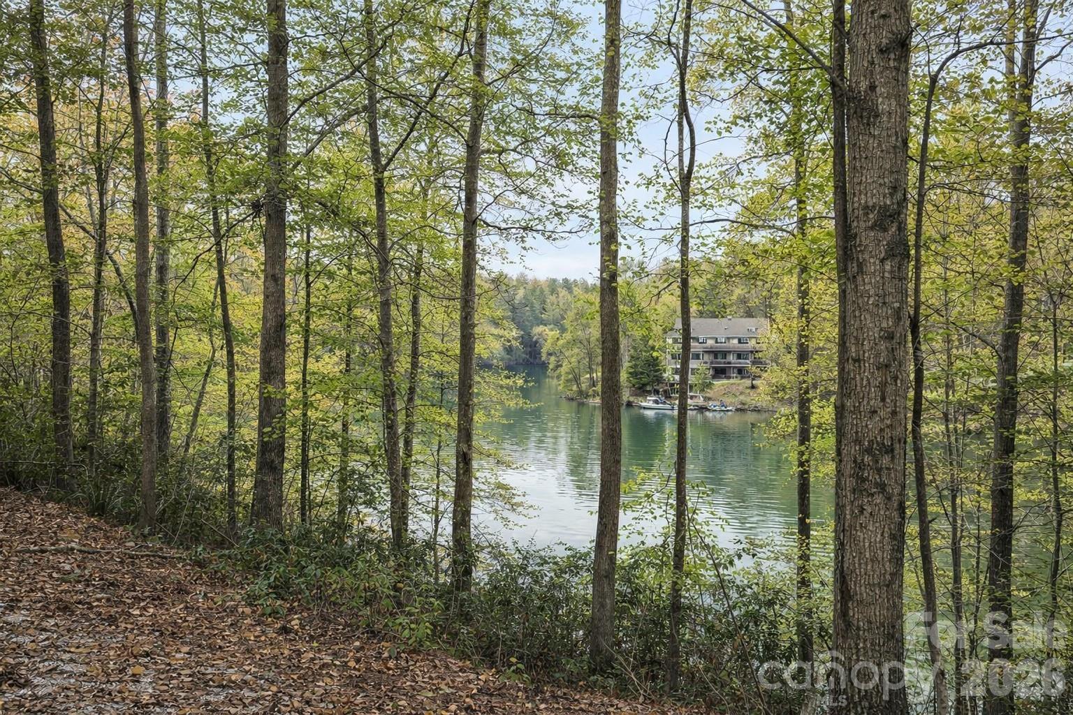 00 Lake Adger Parkway Lot 7