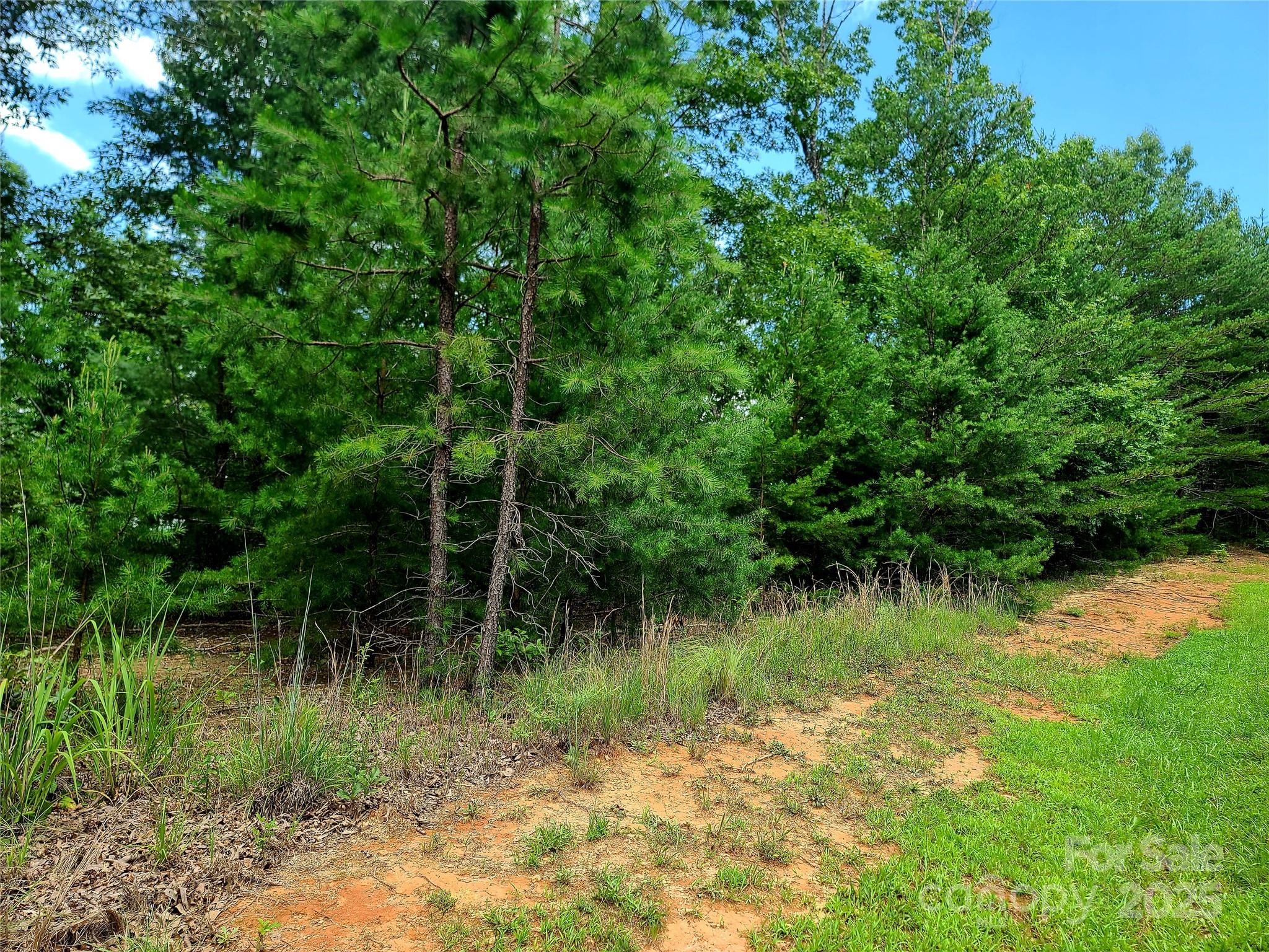 00 Lake Adger Parkway Lot 7