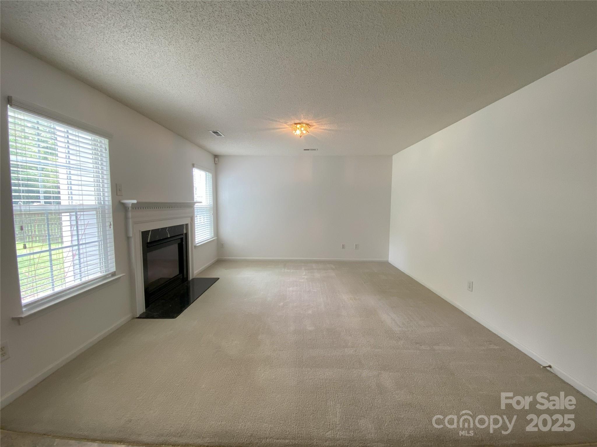 3933 Cameron Creek Drive