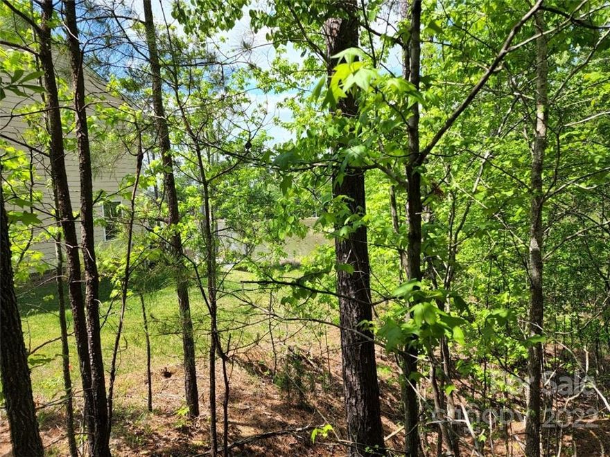 Ahhh.... that WATER VIEW! This homesite looks out over the main channel of Fishing Creek Lake -- it's a perfect spot for a basement foundation. While this property is not dockable, it does offer year-round views of the lake.  There is an open space area behind this property, partially wooded, adding to the beauty and privacy of this homesite. Located just 45 minutes from Columbia and Charlotte, Edgewater is an affordable, resort-style community on the shores of 3,300-acre Fishing Creek Lake that offers an unprecedented value you won’t find anywhere else in this area of SC. Enjoy fishing, water sports, an 18-hole golf course, miles of pathways and walking trails, a swimming pool and cabana, tennis and pickleball courts, community clubhouse, and a public marina all within a golf-cart ride away.   Come see why so many people are calling Edgewater home! Note: Buyer to verify all community and property information if material to a purchasing decision.