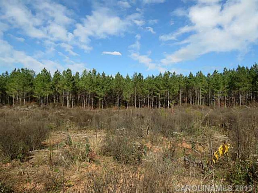 Great tract of land with tons of frontage.  Property has planted pines in the front that has had there first thinning.  Back of the property has been timbered and would make good pasture.  There is many great build sites on the property either in the pines or the clear cut area.  There is more acreage available.