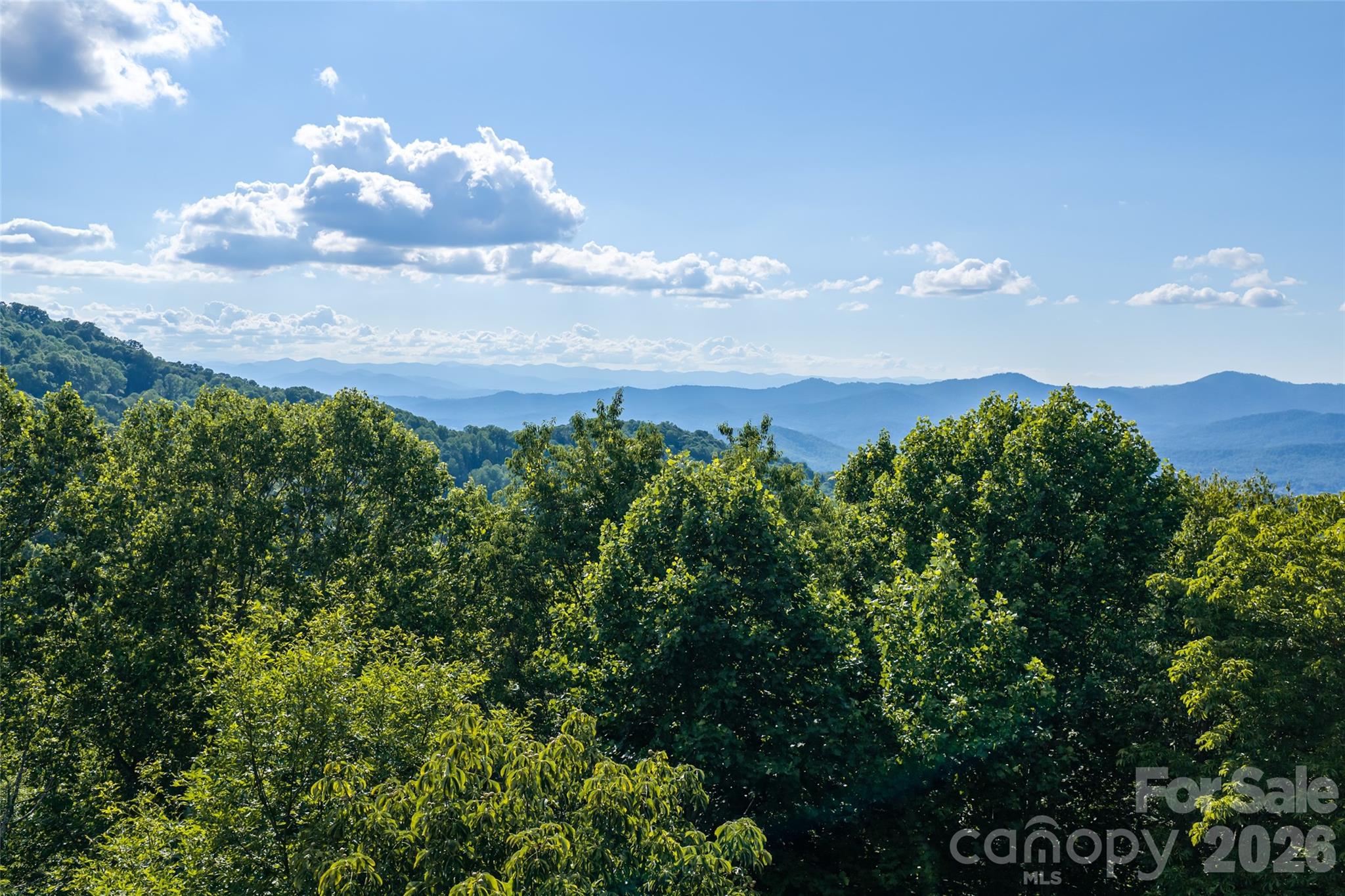 1043 Moss Creek Lane 69
