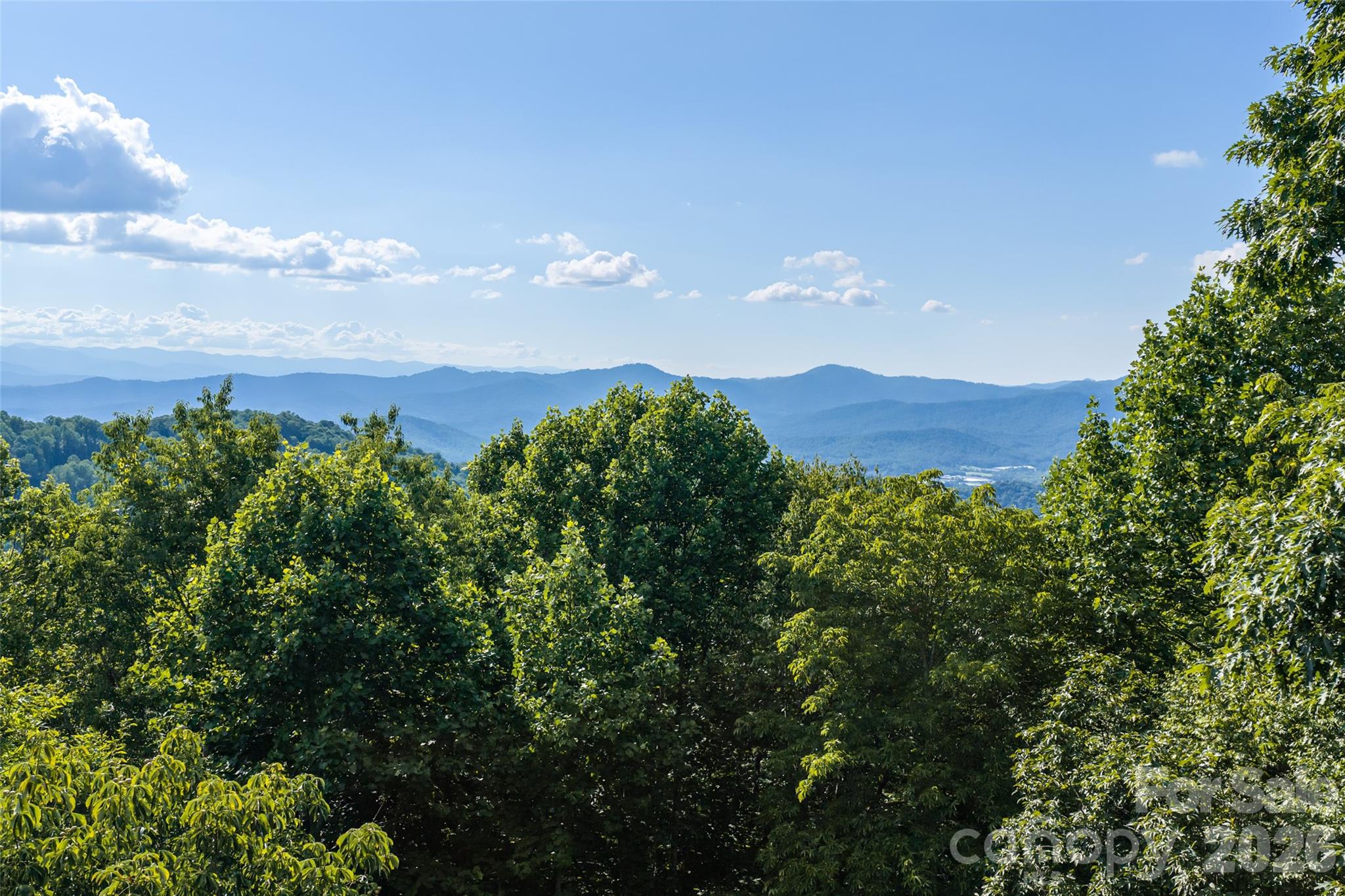 1043 Moss Creek Lane 69