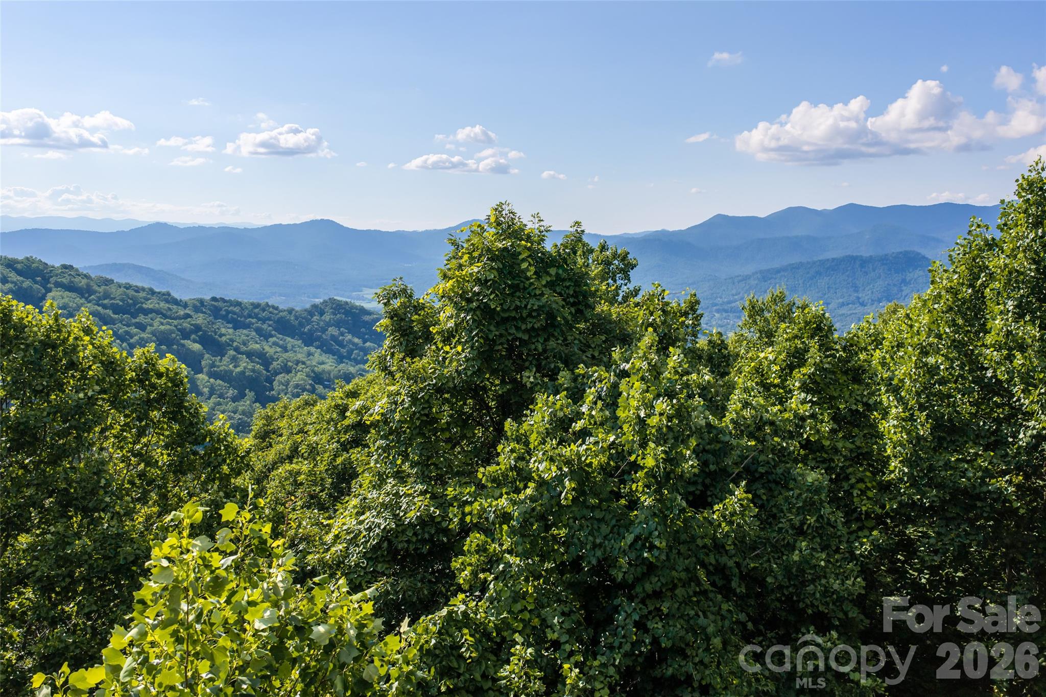 1043 Moss Creek Lane 69