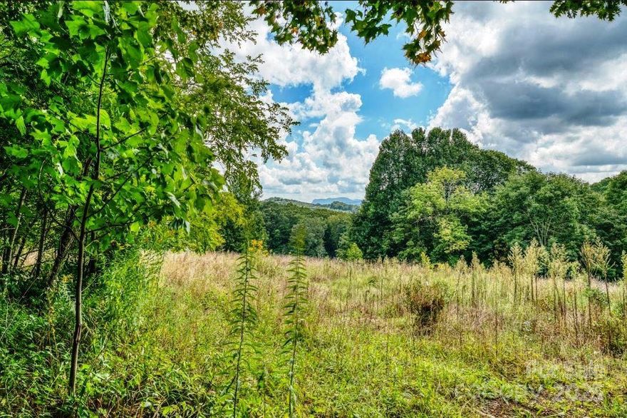 Over 2000 feet of paved road frontage with logging road in place. Long Range views and gentle slope. No restrictions other than Avery County regulations. Only 8 minutes to Newland. Sugar Mountain, Grandfather Mountain and Banner Elk less than 30 minutes away. Possible timber or development property. Excellent views that can be enhanced with trimming. Old logging roads will give you a great road bed to start! Call agent to schedule a hike to check it out