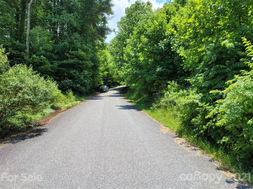 This excellent building lot is located in the highly desirable west side of Yancey County. The lot lays on a moderate slope just off of US 19E and has a paved road running along the entire eastern lot boundary. This property is Lot 9 of Riverside Hills and is part of an excellent neighborhood less than 0.5 miles from the Altec facility. The picturesque town of Burnsville, with its brewery, restaurants and arts is only 3.0 miles and 5 minutes away. Asheville, with shopping, acclaimed medical facilities and restaurants is a short 35 minute drive away using US 19E and I-26. The beautiful and scenic waters of Cane River with great fishing and water sports are less than a 5-minute walk away. Come and build your home on this property with quick and easy access to everything.
