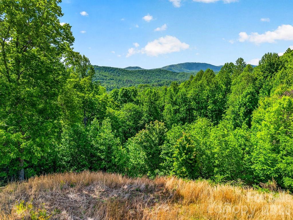 Champion Hills - Land