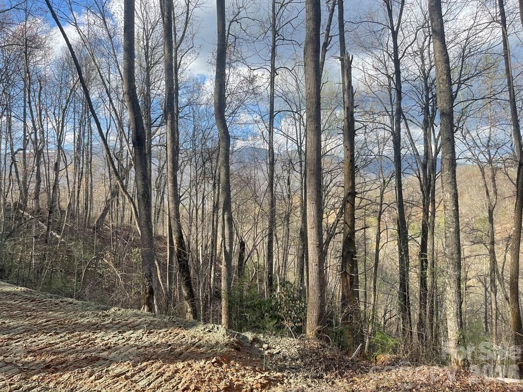 700 Copperhead Cove