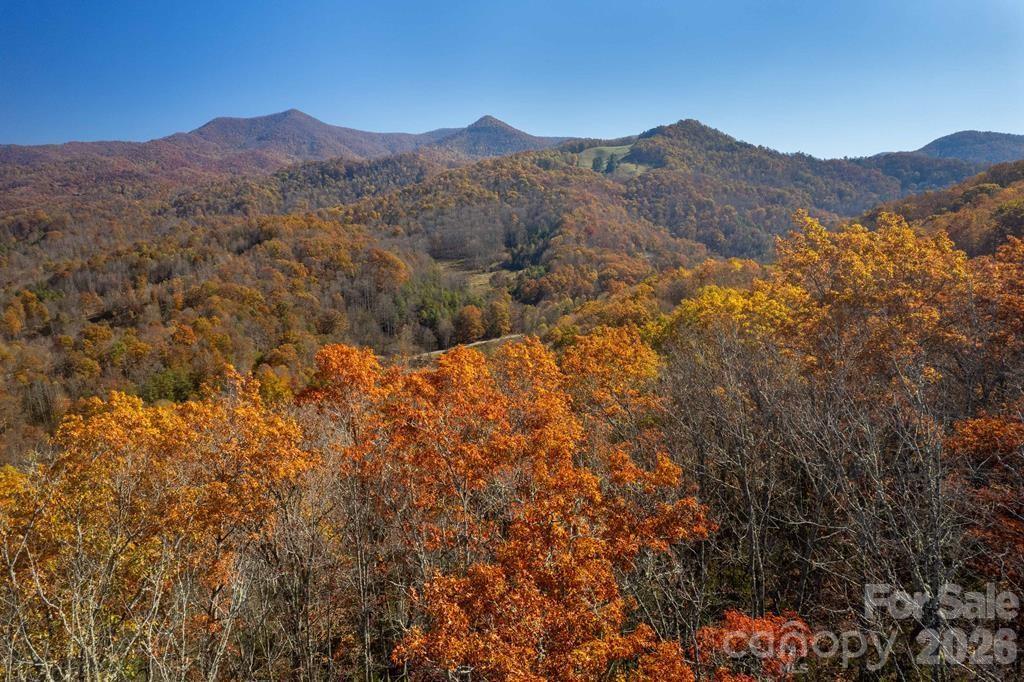 700 Copperhead Cove