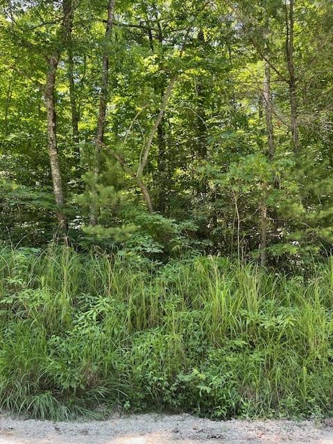 0 Pleasant Grove Church Road 3A