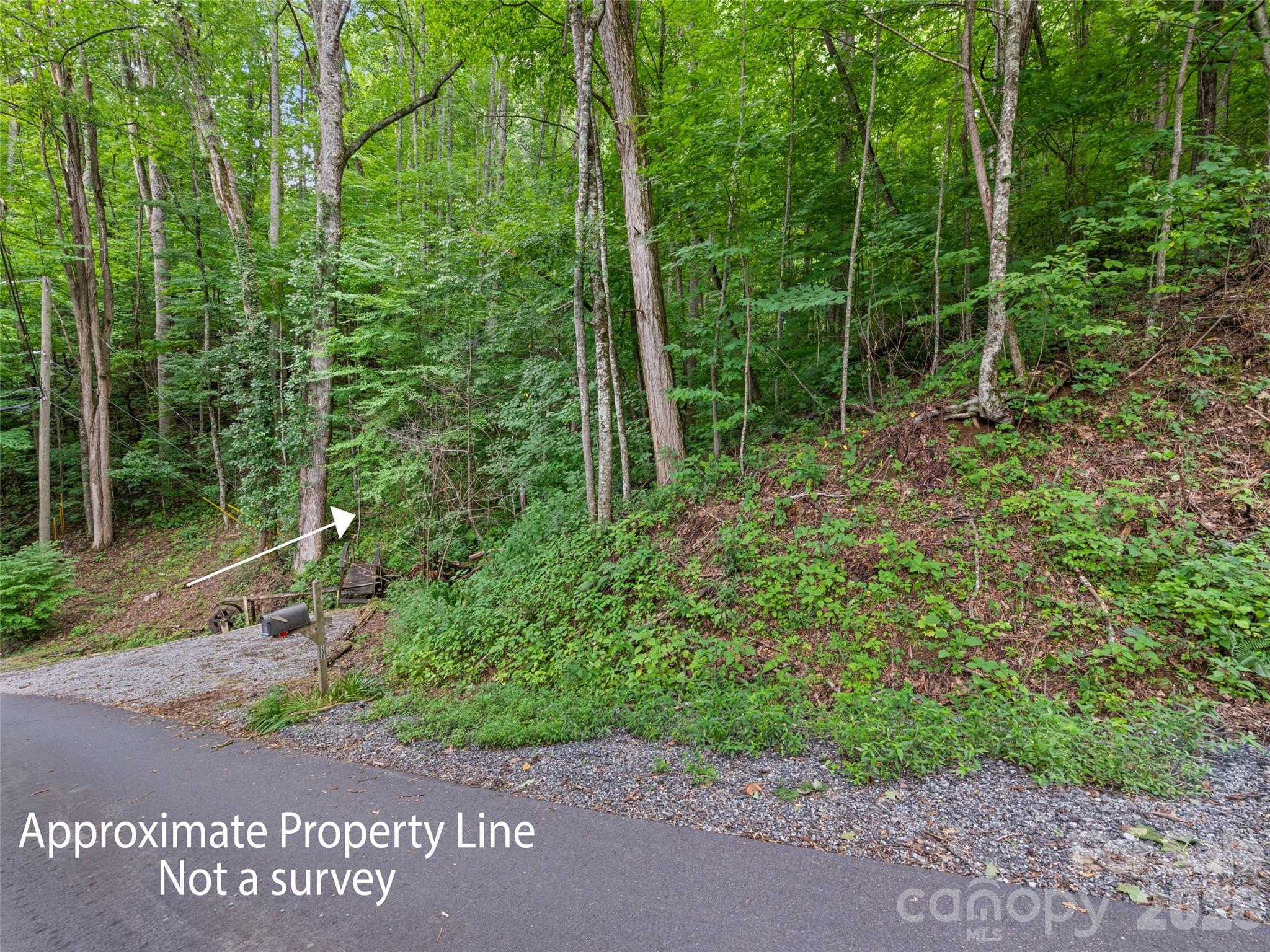 00 Dogwood Trail 21&22