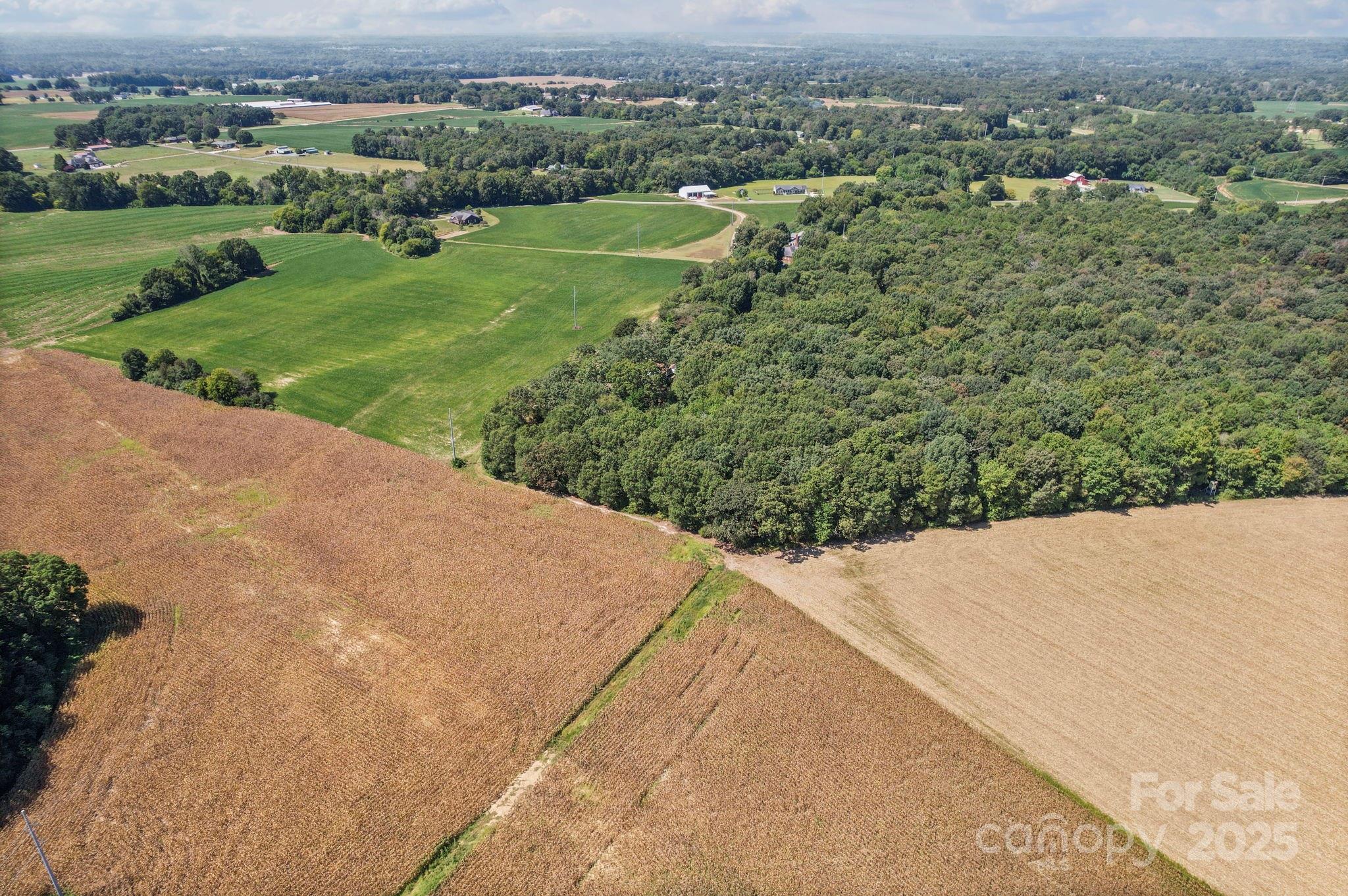 00 Country Woods Road