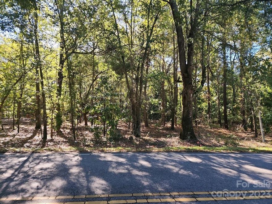 These three parcels consist of a total of approximately 2.02 acres, with frontage on E. Watford Street. This property allows for easy access to many of the Pageland area amenities, by way of the close access to the four lane by pass. Please consult with Town of Pageland for information about current zoning uses, availability of connecting to water, sewer and any building impact fees that may apply.