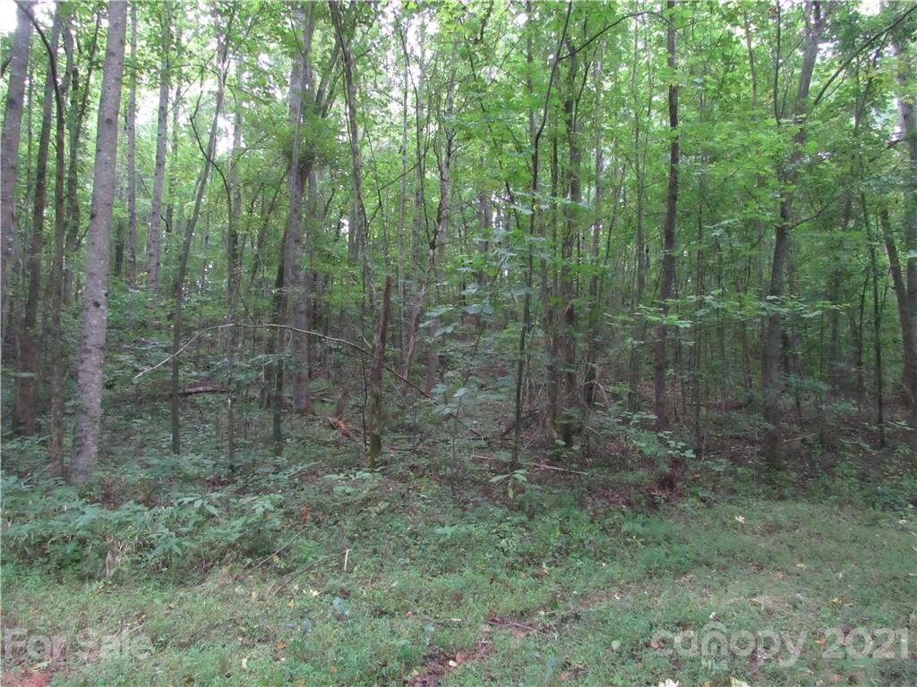 Clarks Creek - Land