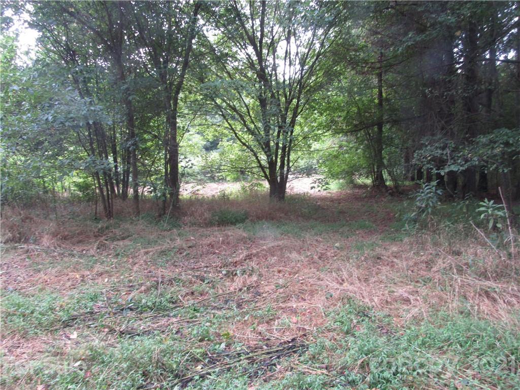 Clarks Creek - Land