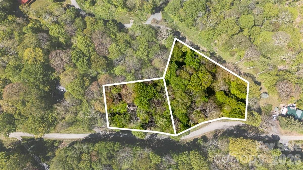 Wolf Laurel - Residential