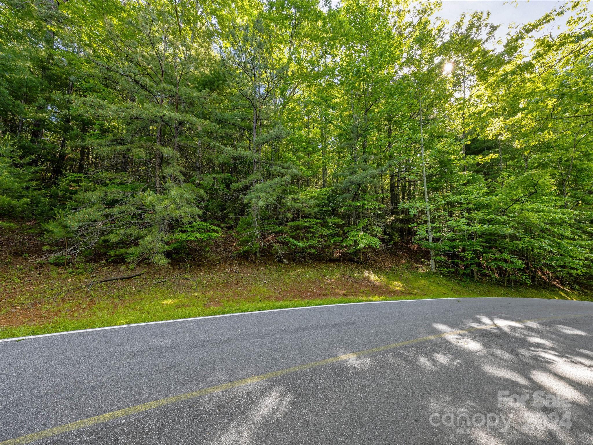 Lake Toxaway Estates - Land