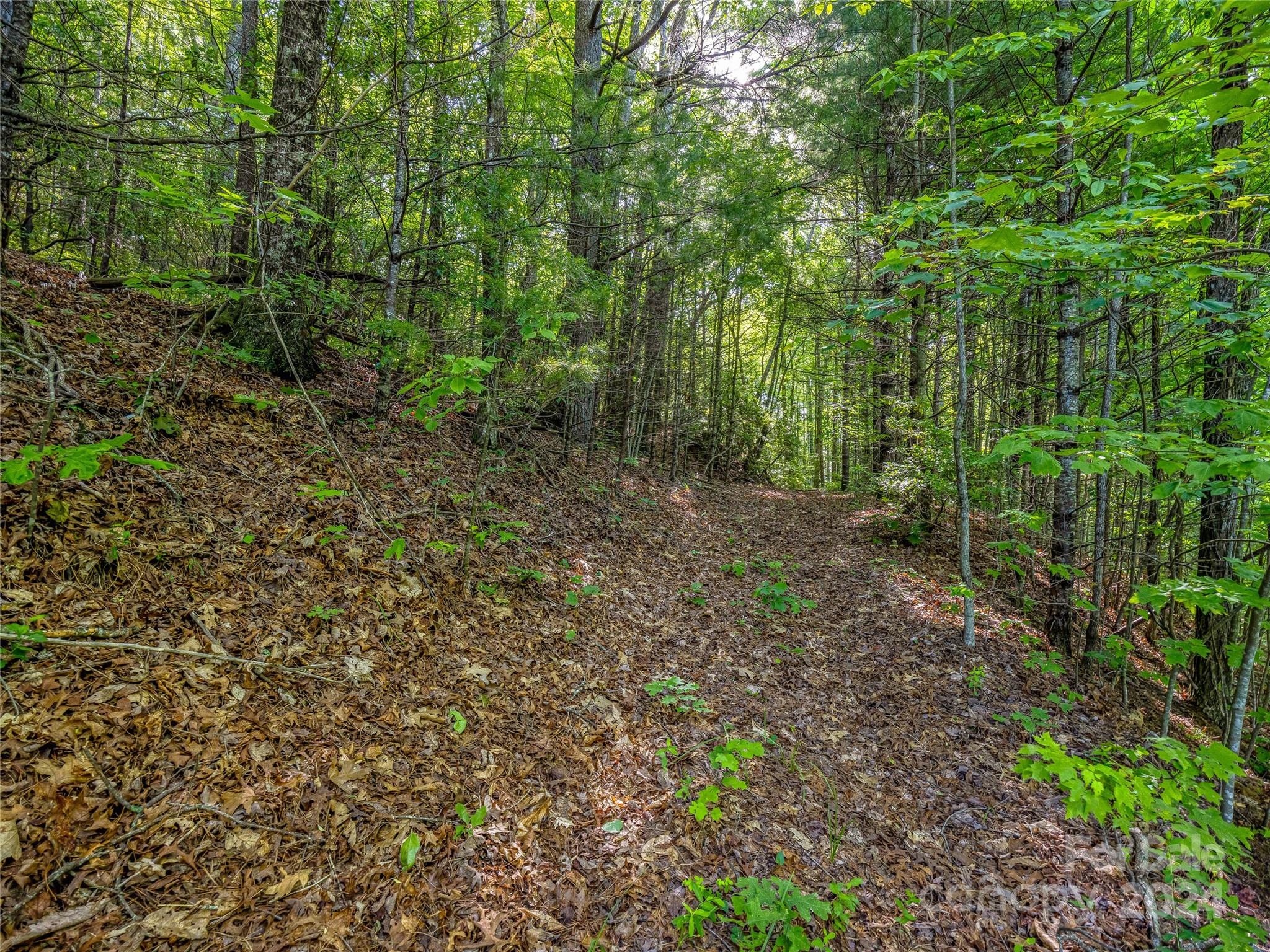 TBD (HM 103) Hawk Mountain Road