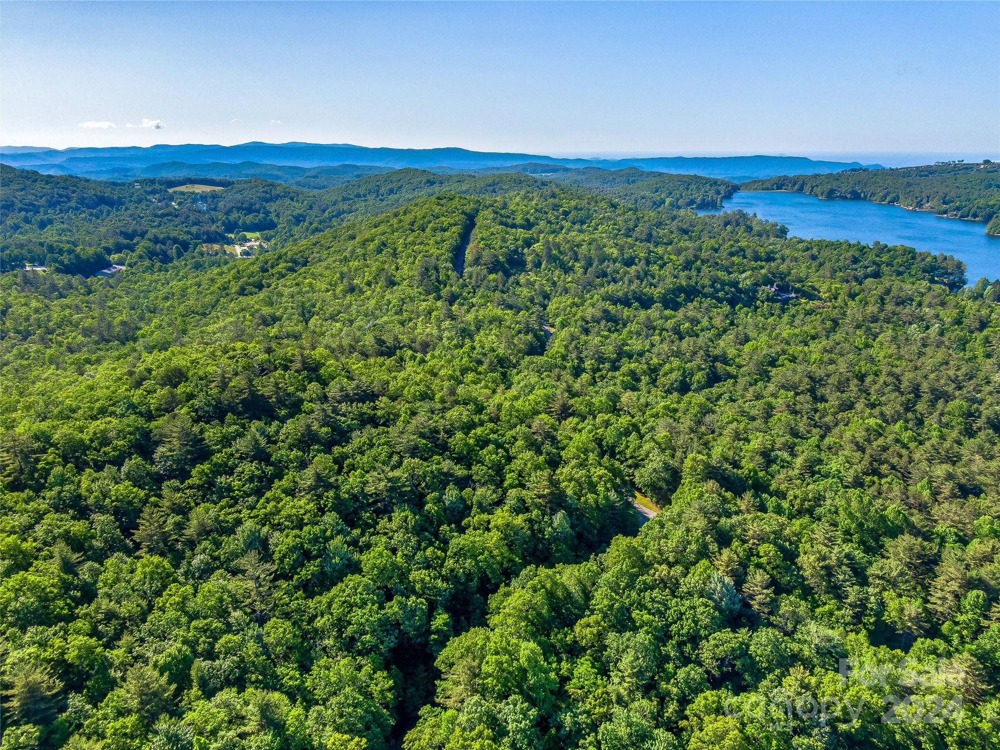 Lake Toxaway Estates - Land