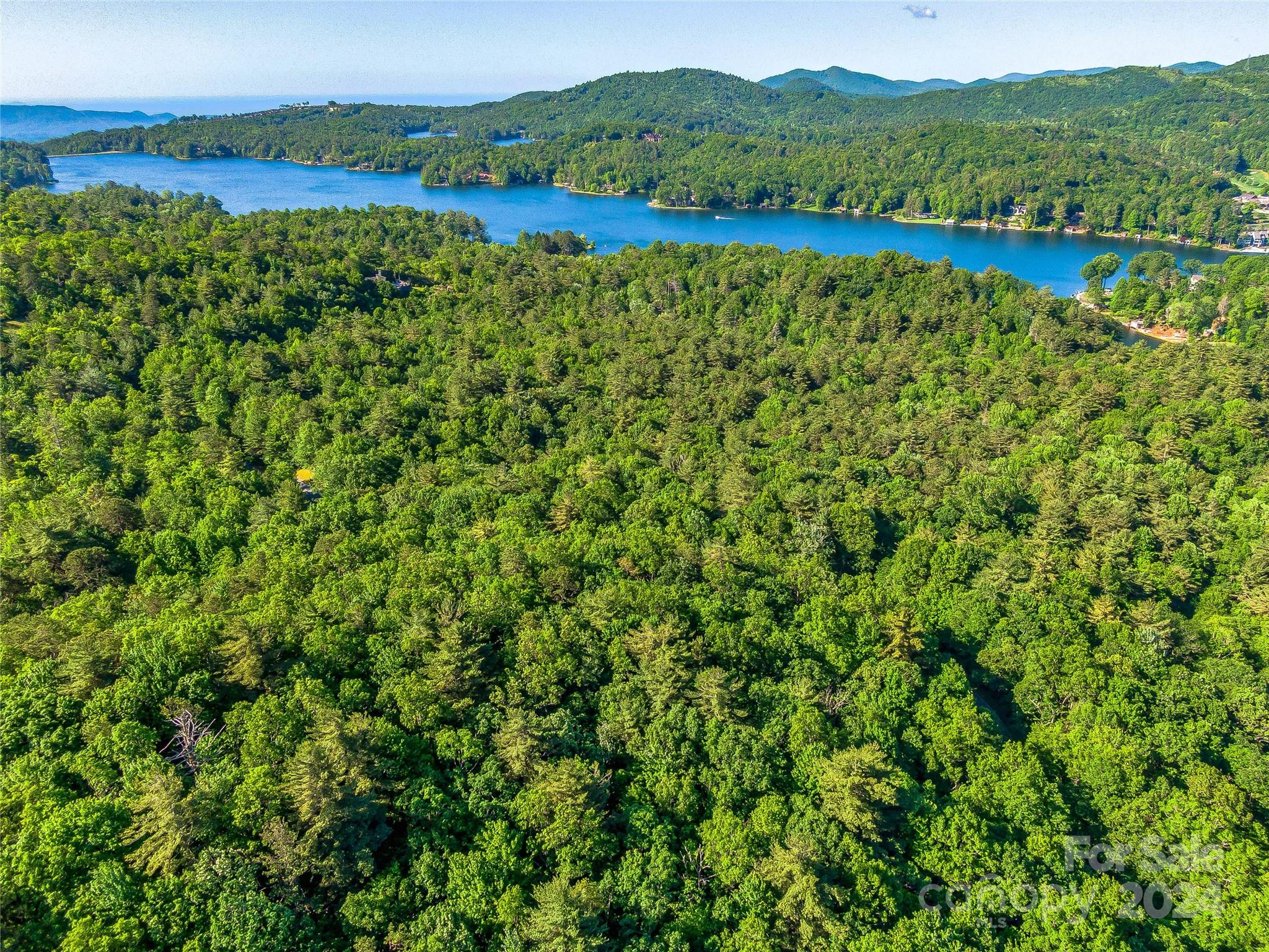 Lake Toxaway Estates - Land