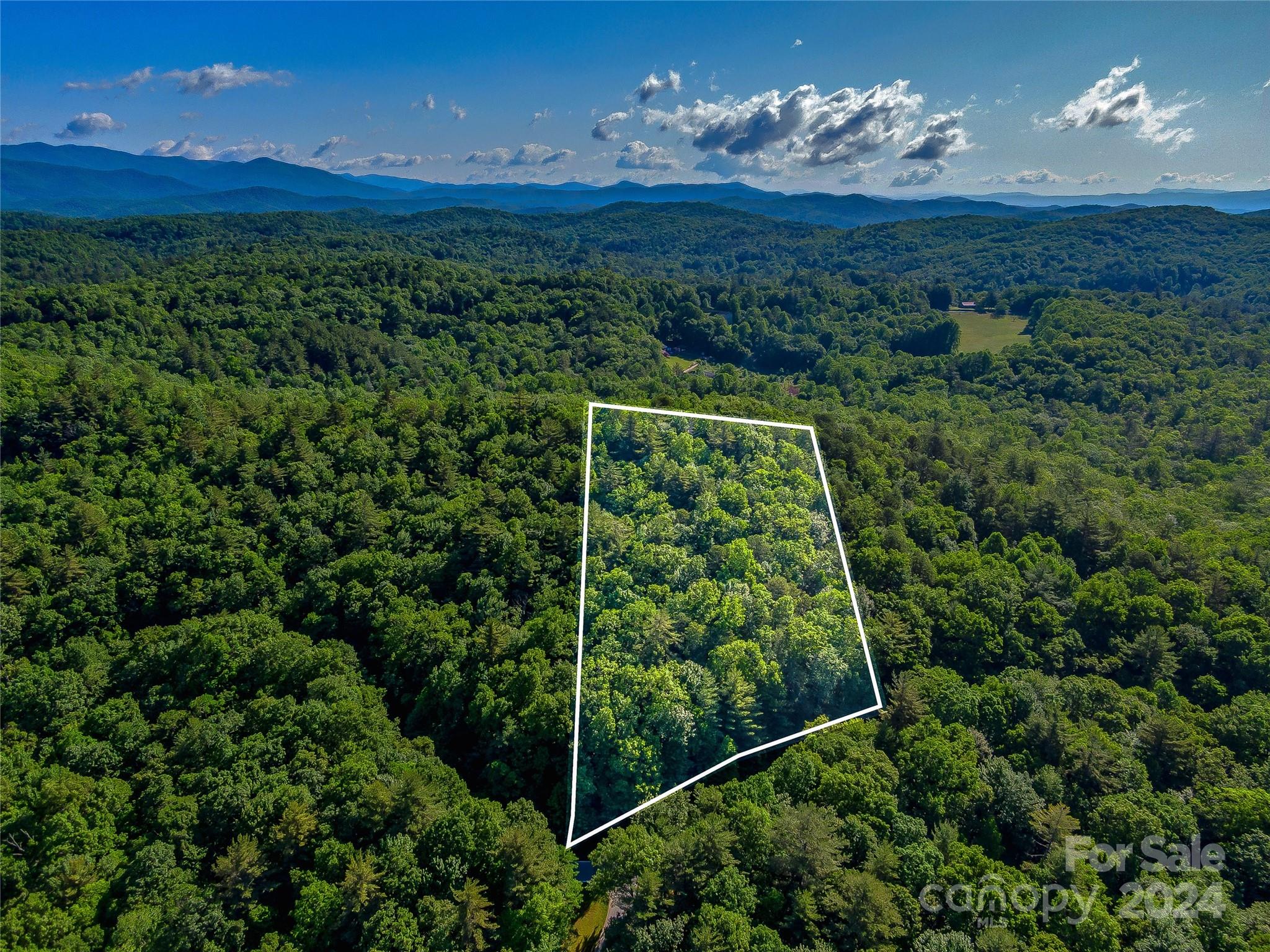 Lake Toxaway Estates - Land