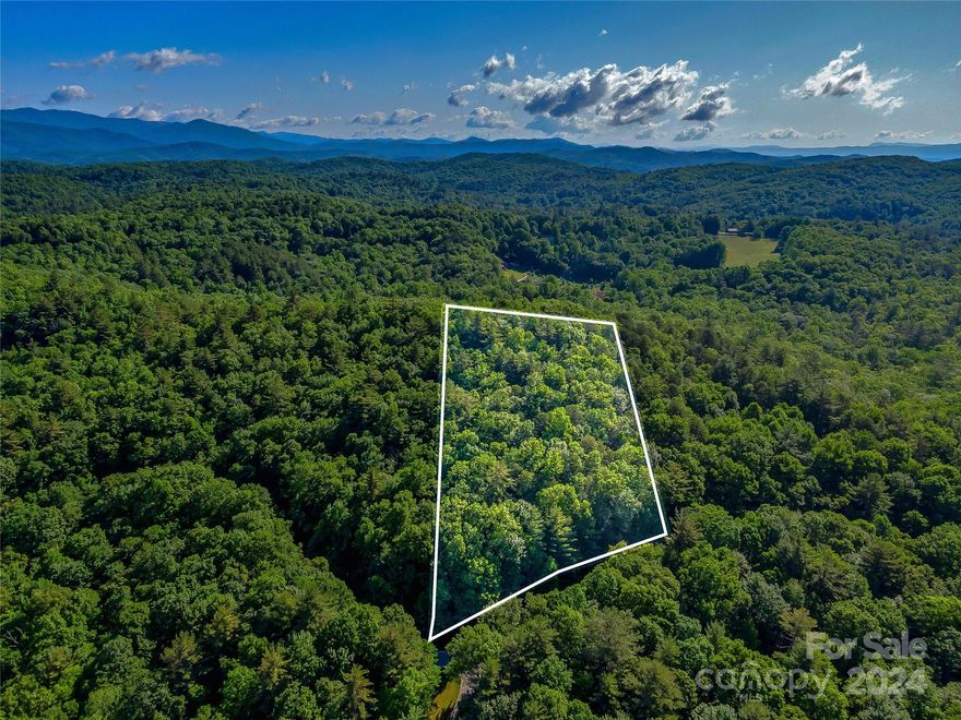 Pure privacy characterizes this mountain lot in the peaceful Hawk Mountain neighborhood of Lake Toxaway Estates. In the winter, you'll get a lake peep and dramatic sunsets through the trees from your eminently level building site. In the summer, dense vegetation and hardwood trees attract birds, providing seclusion and landscaping potential. Minutes from the clubhouse and the marina. Least expensive lot in Lake Toxaway Estates.