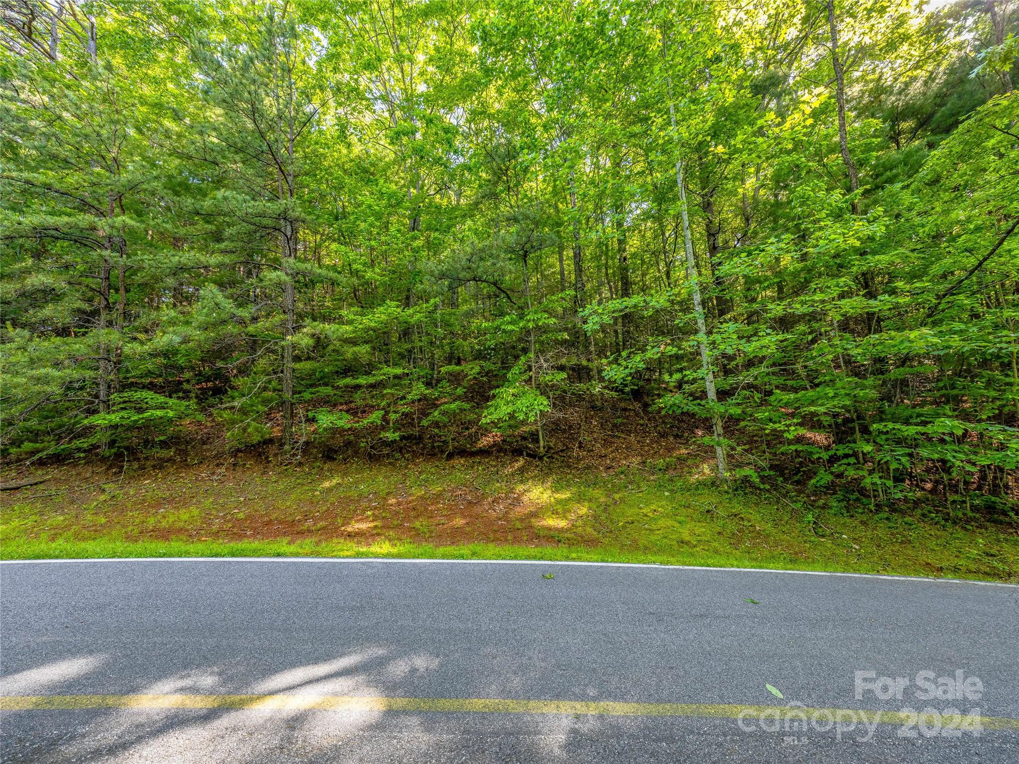 Lake Toxaway Estates - Land