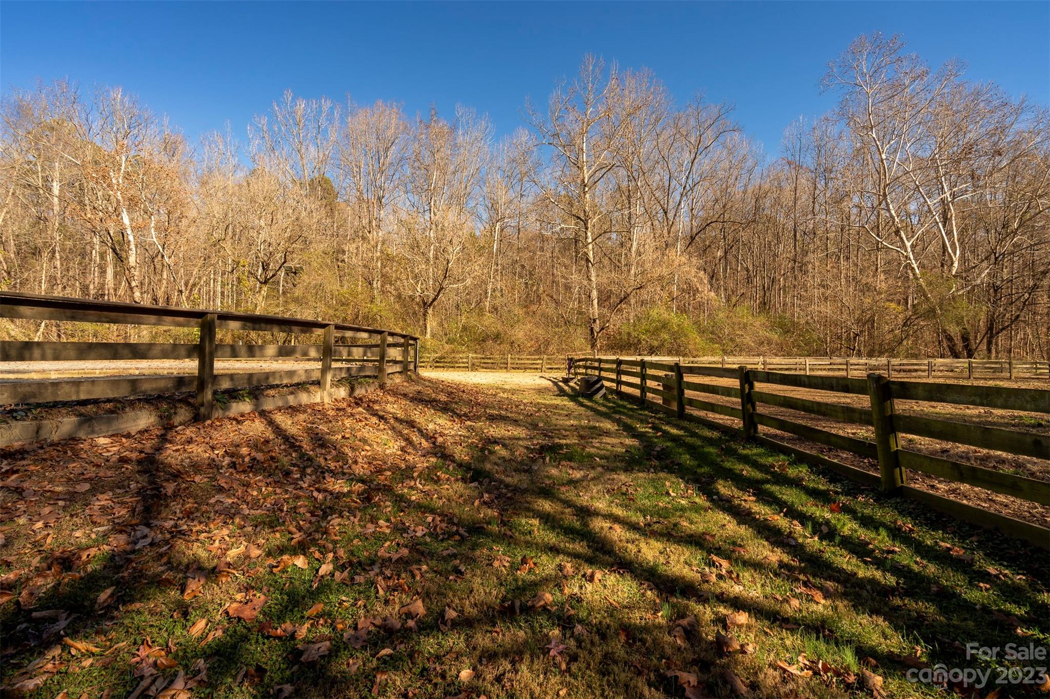 Runneymede - Residential