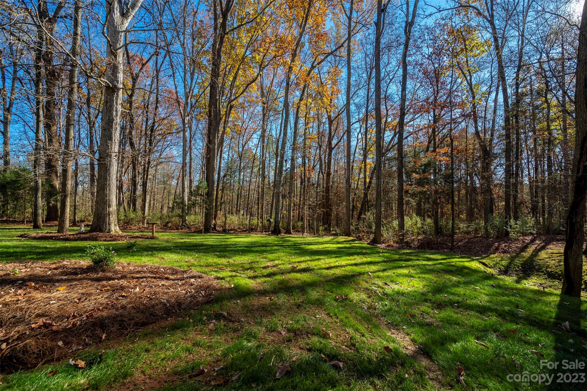 Runneymede - Residential
