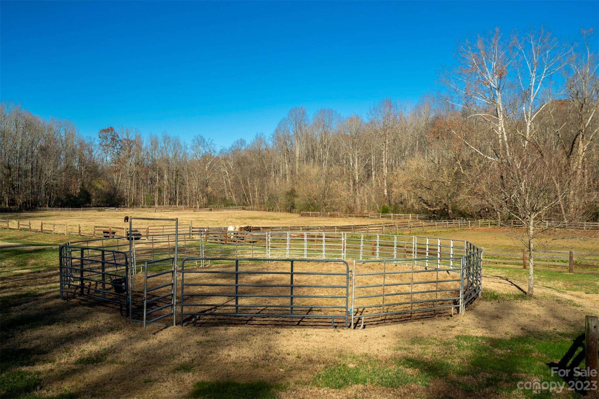 Runneymede - Residential