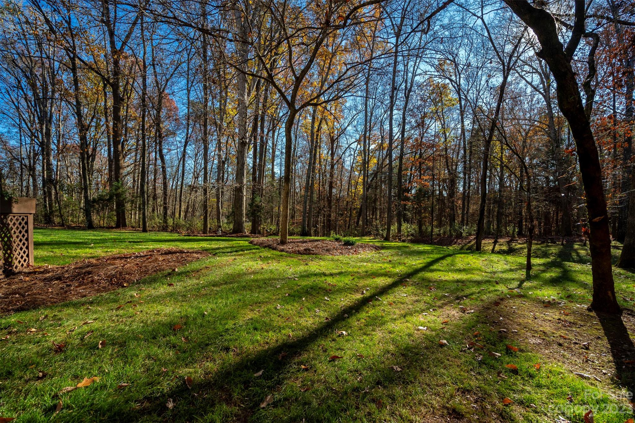 Runneymede - Residential