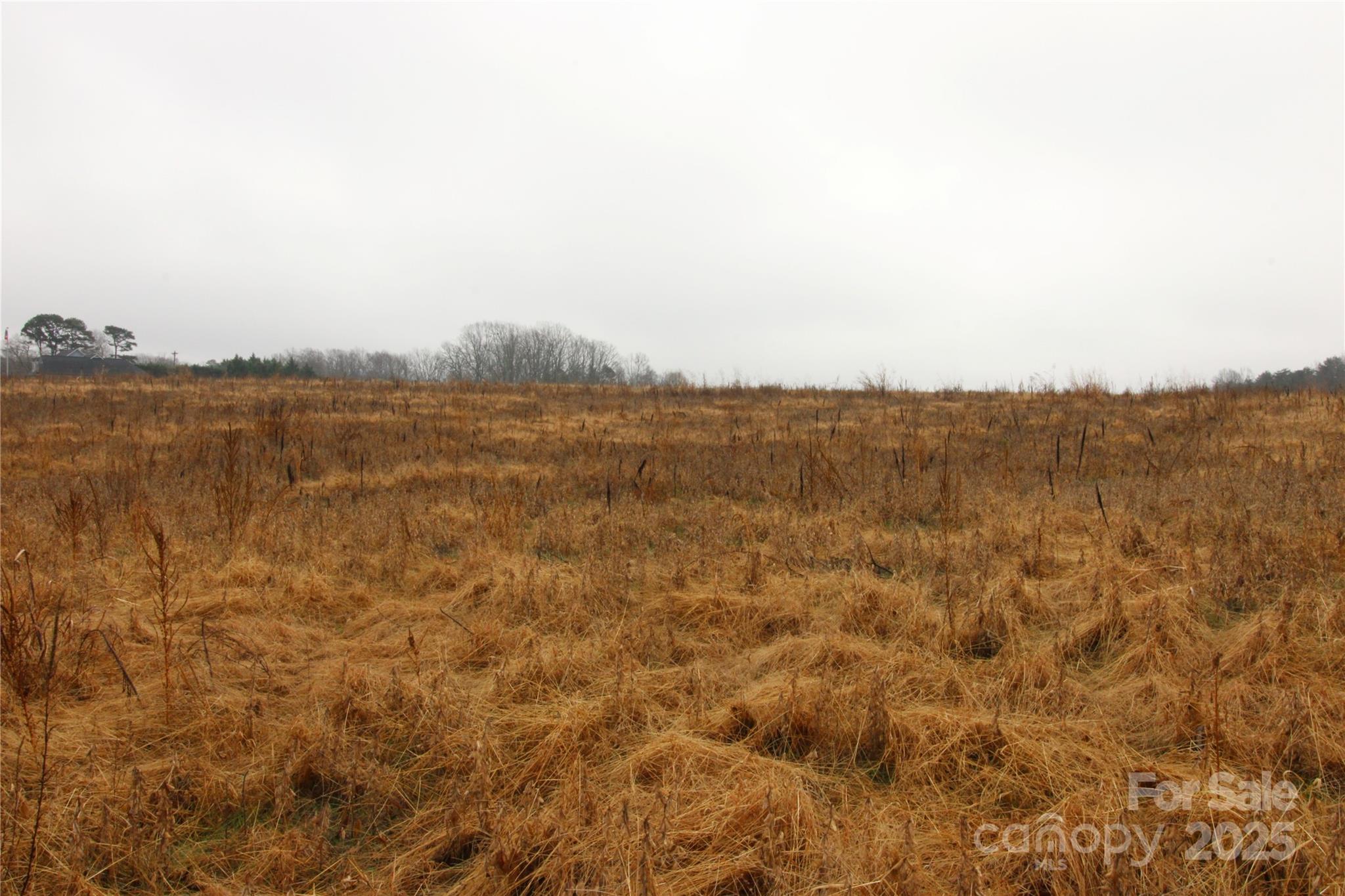 LOT A 4+/-AC Bess Road