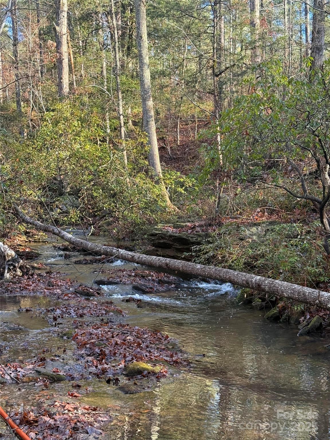 181 Song Sparrow Court