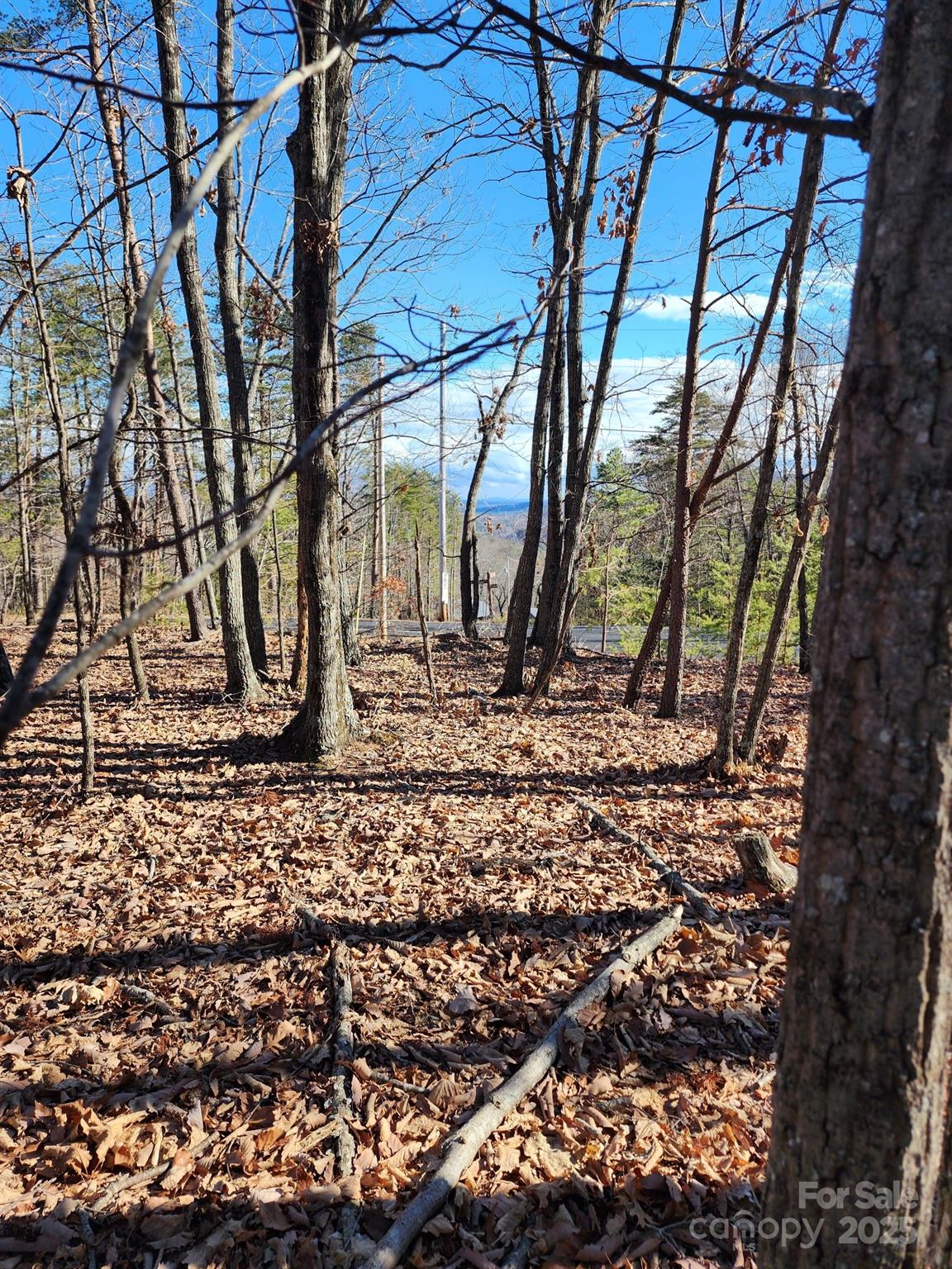 Golden Valley Estates - Land