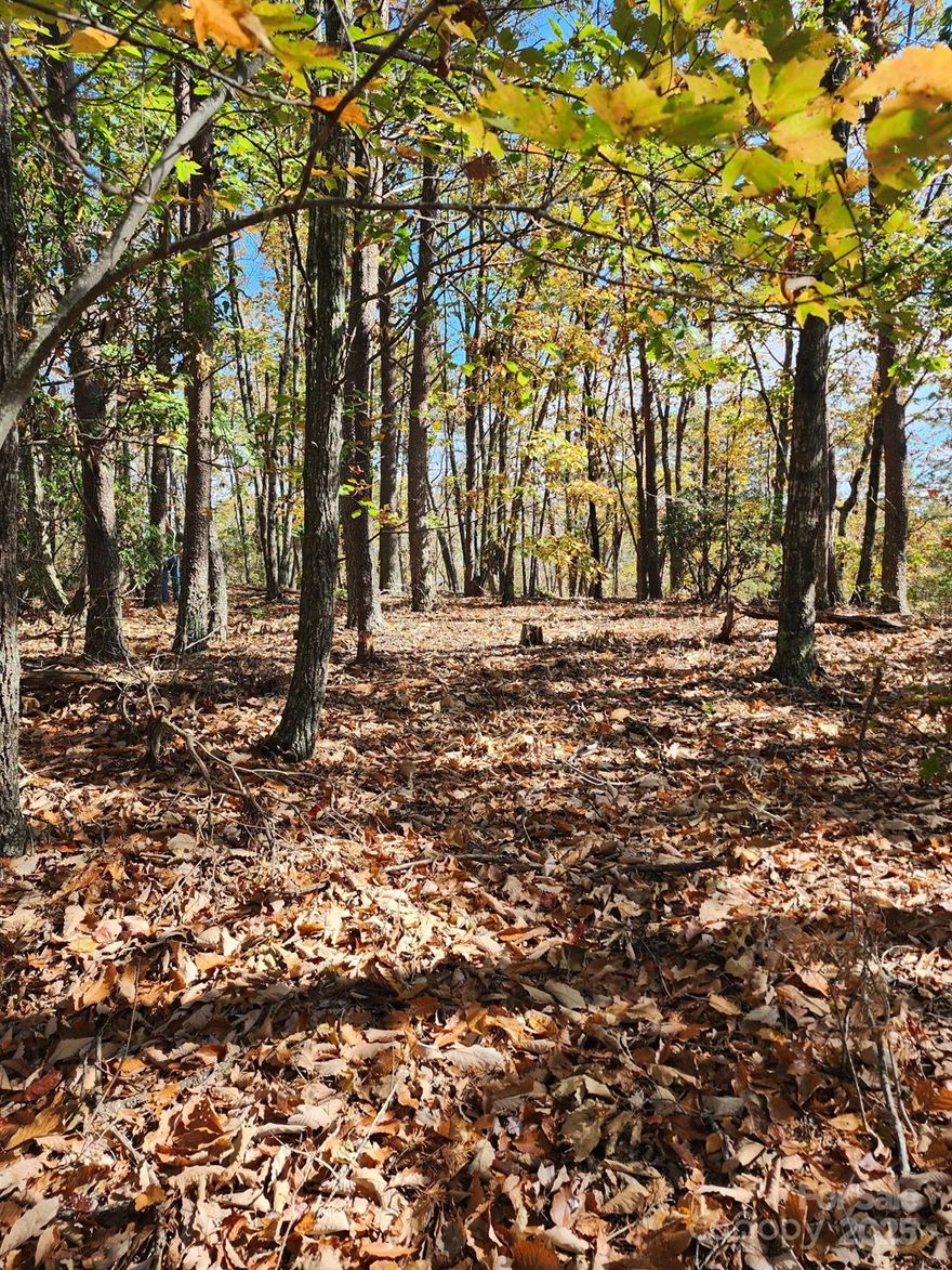 Lot #35— Discover the peace and privacy of this exceptional 16.68-acre ridgetop tract located in the sought-after Golden Valley Estates, a private, gated mountain community encompassing 1,100 acres in the scenic foothills between Charlotte and Asheville. Tucked away in a tranquil natural setting, this property offers over 550 feet of paved road frontage and includes a walkable trail through a lush landscape of mature mountain laurel, native hardwoods, and abundant wildlife—making it an ideal spot for those seeking a full-time mountain home, a weekend escape, or a future retirement retreat.
The property comes with a valid well and septic permit, issued and good through August 2029, giving you a head start on planning your build. One of the most appealing aspects of this community is its flexibility: there are no time constraints in the HOA covenants, so you can buy now and build when the time is right. Whether you’re ready to break ground soon or prefer to hold the land for future use, this tract offers freedom and peace of mind.
Golden Valley Estates is known for its low annual HOA dues—just $400 per year—and for maintaining a quiet, natural environment. Deed restrictions prohibit short-term rentals, preserving the integrity and tranquility of the neighborhood and protecting your investment. Residents enjoy four-season mountain living, surrounded by scenic beauty, rolling ridges, and clear skies, with plenty of opportunities for hiking, hunting, bird watching, and other outdoor activities right at your doorstep.
Despite its secluded feel, the property is conveniently located just 20 miles from shopping, dining, and services—including Ingles, ALDI, Walmart, Chick-fil-A, Zaxby's, and other major retailers—providing the perfect balance of privacy and accessibility. It's also located close to Yogi Bear's Jellystone Park™ at Camp Golden Valley, a popular local attraction offering family-friendly recreation and entertainment.
This is a rare opportunity to own nearly 17 acres in one of Western North Carolina’s most peaceful and well-maintained mountain communities. Come experience the serenity, space, and natural beauty that this unique property has to offer.
