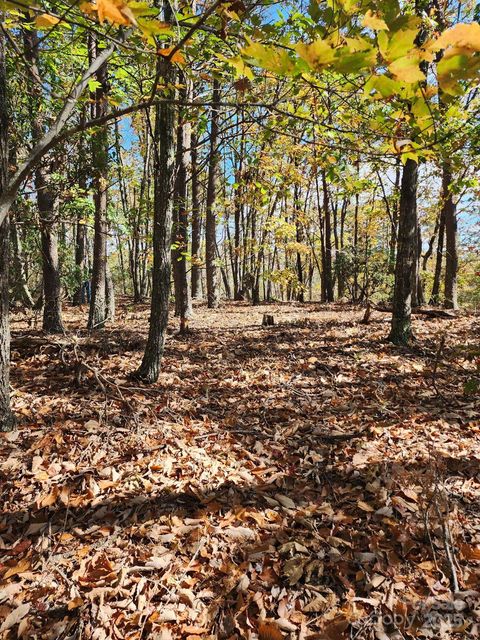 0 Mountain Lookout Drive 35 Bostic NC 28018