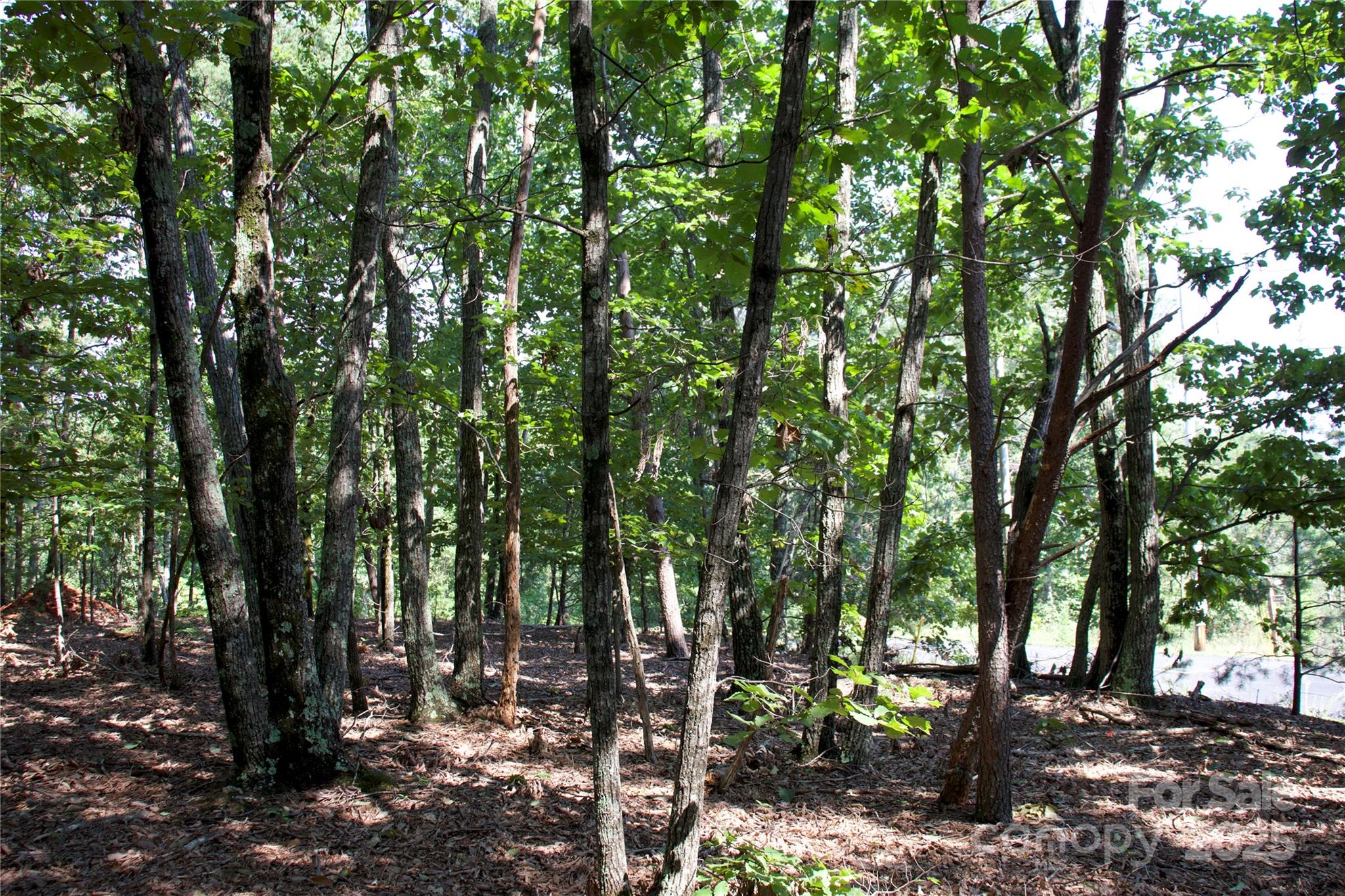 Golden Valley Estates - Land