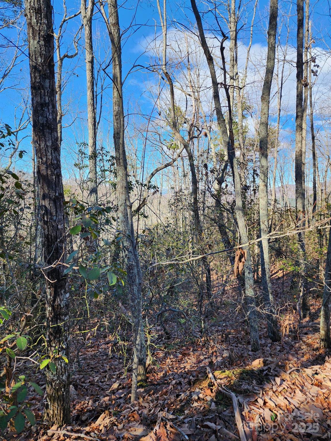 Golden Valley Estates - Land