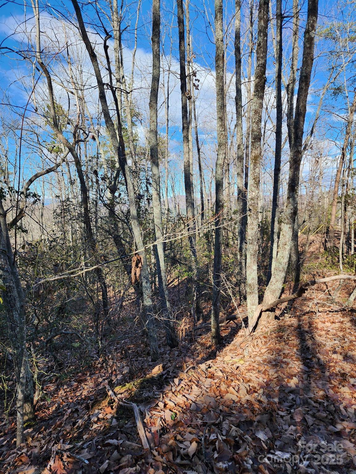 Golden Valley Estates - Land