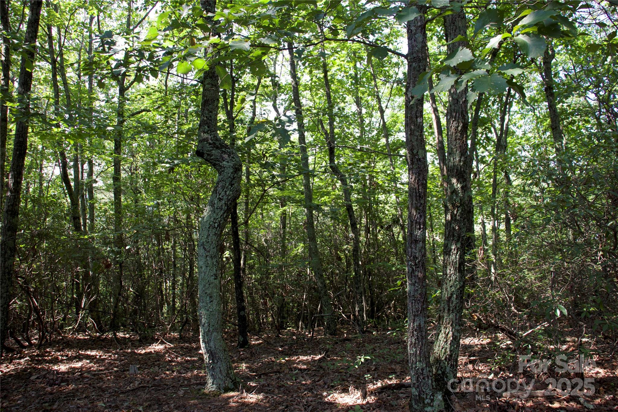 Golden Valley Estates - Land