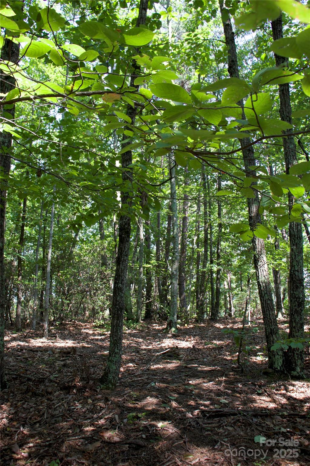 Golden Valley Estates - Land