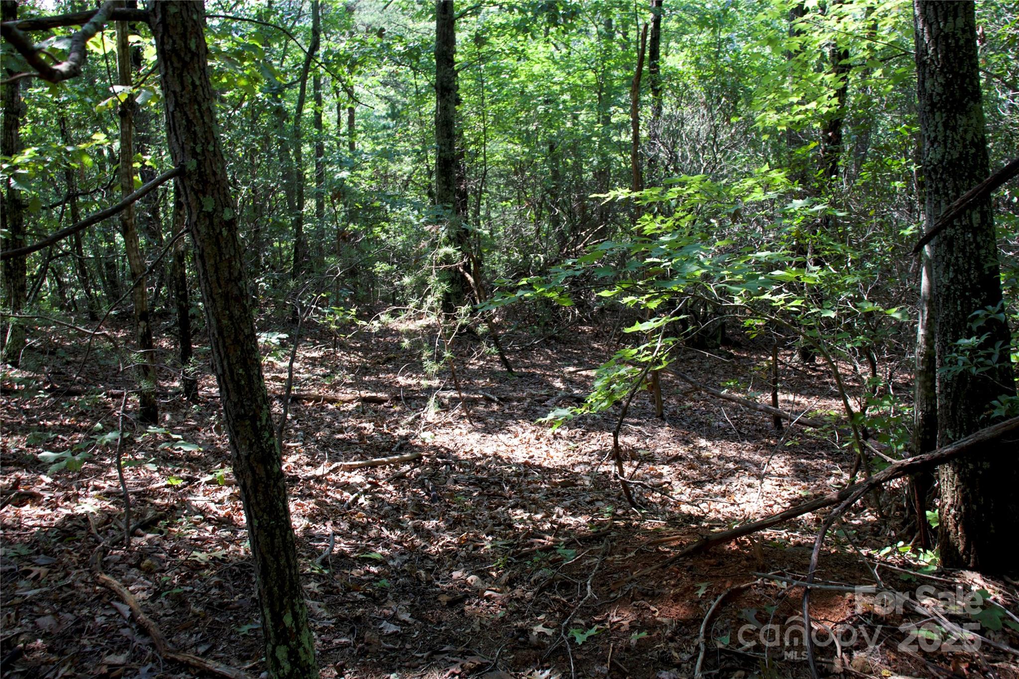 Golden Valley Estates - Land