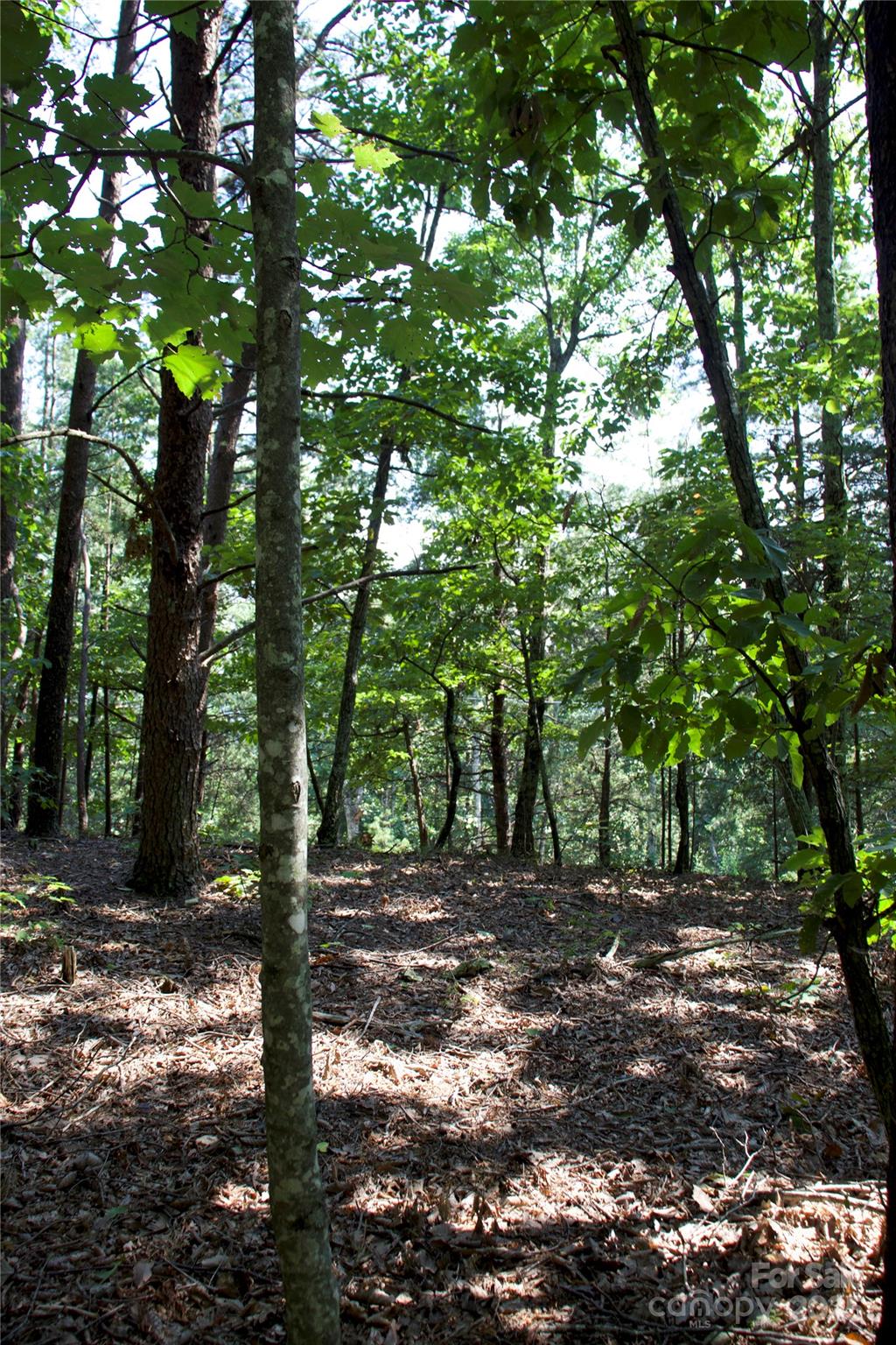 Golden Valley Estates - Land